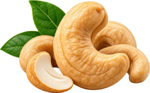 Cashew
