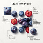 Blueberry Plum