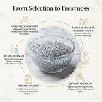 Sabza Seeds