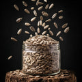 Sunflower Seeds