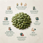 Pumpkin seeds