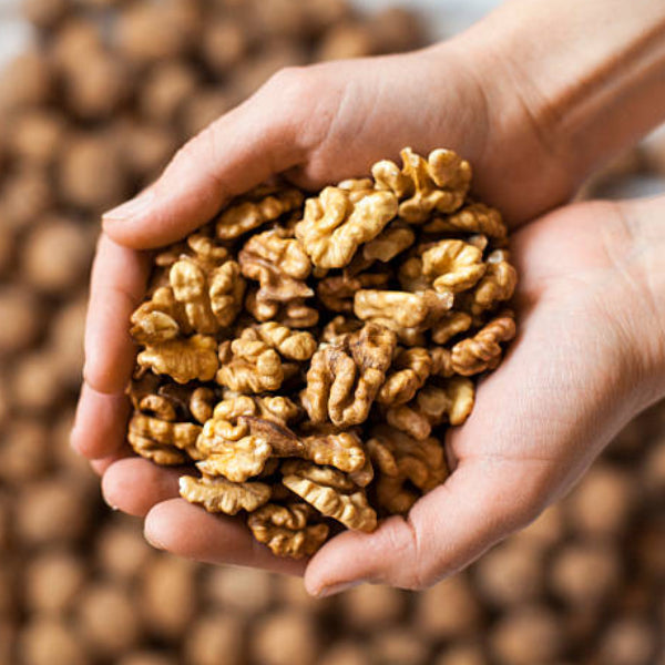 Daujee - High Qulity Walnuts Dry Fruits